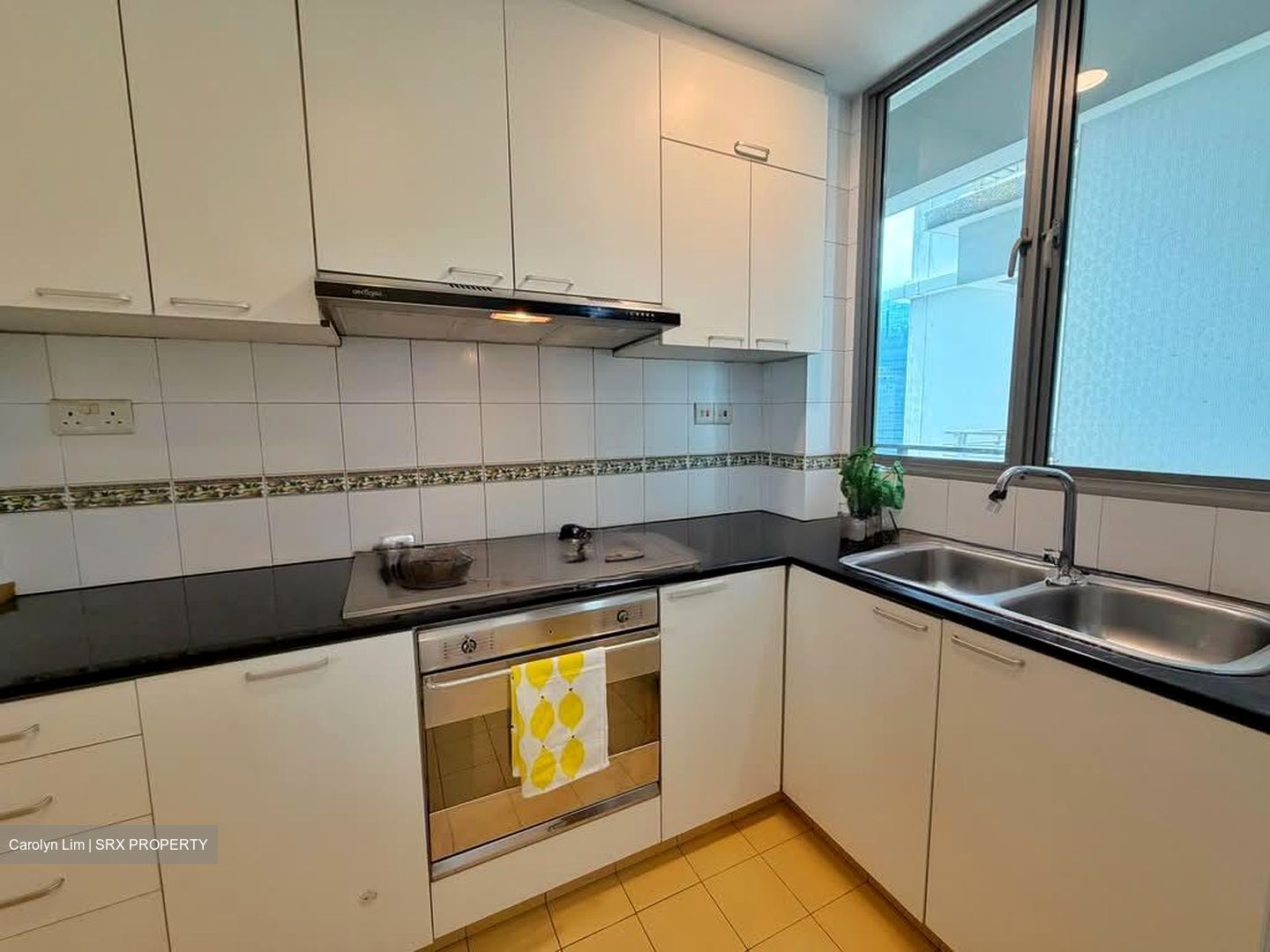 Thomson Euro-asia (D11), Condominium #537600831
